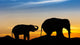 Elephant on mountain Wall Decal
