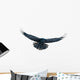 Raven in flight on white Wall Decal