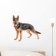Shepherd on a white background Wall Decal