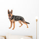 Shepherd on a white background Wall Decal