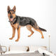 Shepherd on a white background Wall Decal
