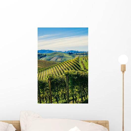 Paesaggio autunnale nelle vigne delle Langhe Wall Decal