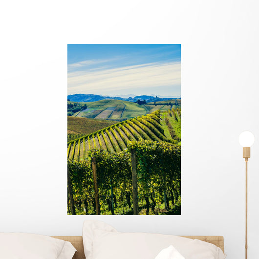 Paesaggio autunnale nelle vigne delle Langhe Wall Decal
