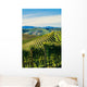 Paesaggio autunnale nelle vigne delle Langhe Wall Decal