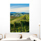 Paesaggio autunnale nelle vigne delle Langhe Wall Decal