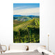 Paesaggio autunnale nelle vigne delle Langhe Wall Decal