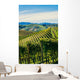 Paesaggio autunnale nelle vigne delle Langhe Wall Decal
