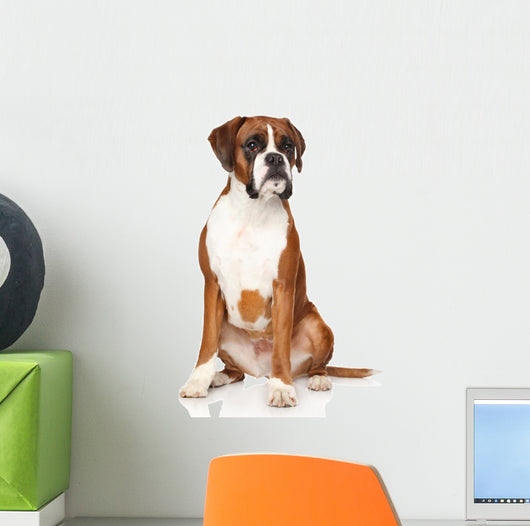 Boxer dog Wall Decal