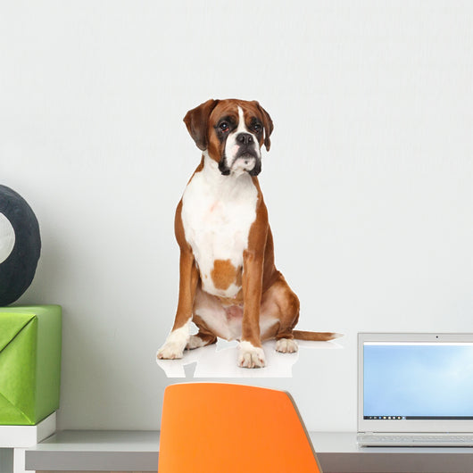 Boxer dog Wall Decal