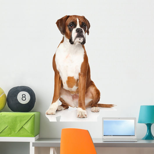 Boxer dog Wall Decal