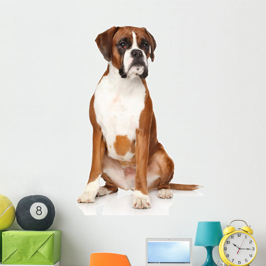 Boxer dog Wall Decal