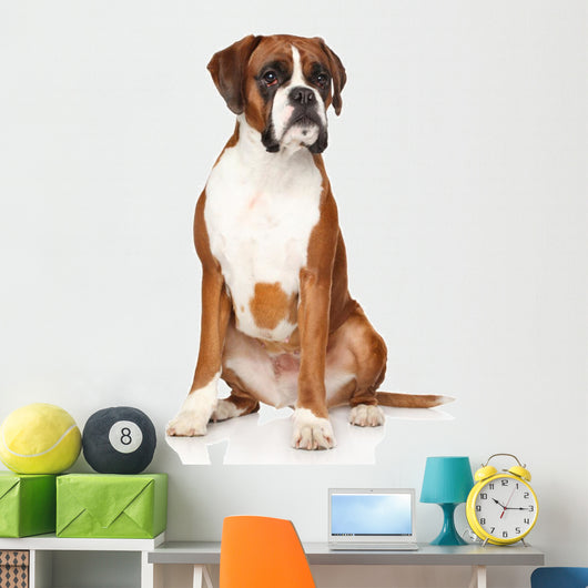 Boxer dog Wall Decal