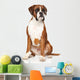 Boxer dog Wall Decal