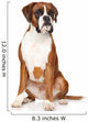 Boxer dog Wall Decal