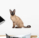 Siamese Oriental Cat Wall Decal