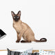 Siamese Oriental Cat Wall Decal