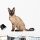 Siamese Oriental Cat Wall Decal
