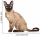 Siamese Oriental Cat Wall Decal