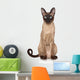 Oriental Siamese cat Wall Decal