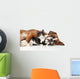 Cat and dog together Wall Decal