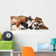 Cat and dog together Wall Decal