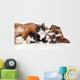 Cat and dog together Wall Decal