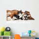 Cat and dog together Wall Decal
