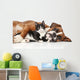 Cat and dog together Wall Decal