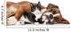 Cat and dog together Wall Decal