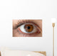 Human eye with reflection. Macro shot. Wall Decal