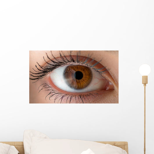 Human eye with reflection. Macro shot. Wall Decal