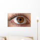 Human eye with reflection. Macro shot. Wall Decal