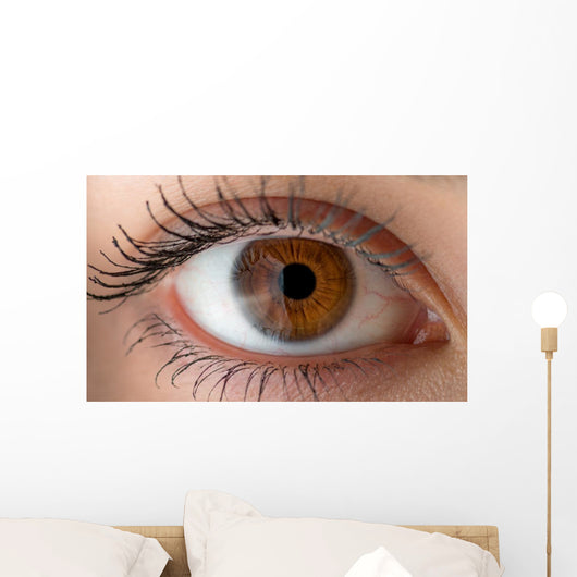 Human eye with reflection. Macro shot. Wall Decal