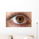 Human eye with reflection. Macro shot. Wall Decal