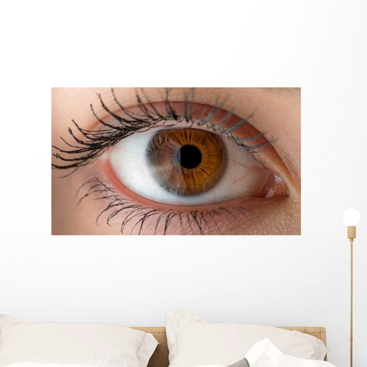 Human eye with reflection. Macro shot. Wall Decal