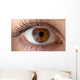 Human eye with reflection. Macro shot. Wall Decal