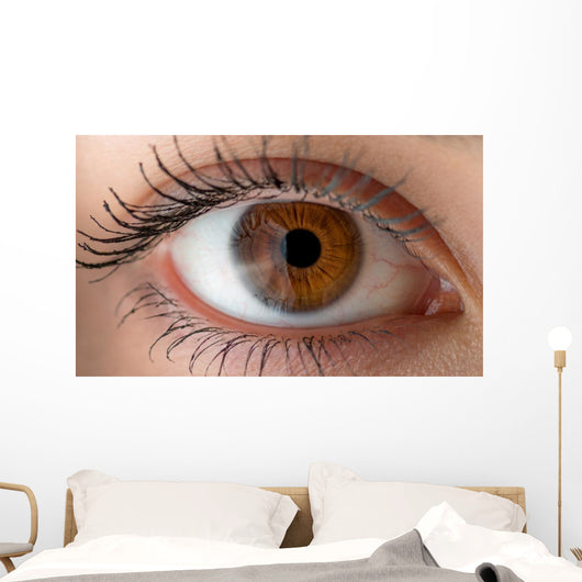 Human eye with reflection. Macro shot. Wall Decal