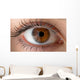 Human eye with reflection. Macro shot. Wall Decal