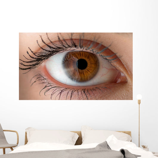 Human eye with reflection. Macro shot. Wall Decal