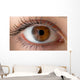 Human eye with reflection. Macro shot. Wall Decal
