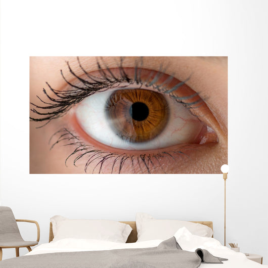 Human eye with reflection. Macro shot. Wall Decal