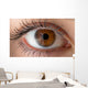 Human eye with reflection. Macro shot. Wall Decal