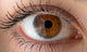 Human eye with reflection. Macro shot. Wall Decal