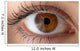 Human eye with reflection. Macro shot. Wall Decal
