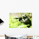 Military training combat - forest/jungle amvironment Wall Decal