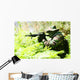 Military training combat - forest/jungle amvironment Wall Decal