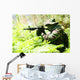 Military training combat - forest/jungle amvironment Wall Decal