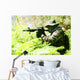 Military training combat - forest/jungle amvironment Wall Decal
