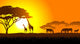 African savanna an evening landscape Wall Decal