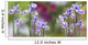 Iris Flowers Wall Decal